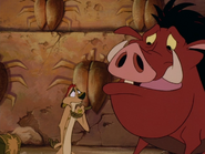 GM Timon & Pumbaa50