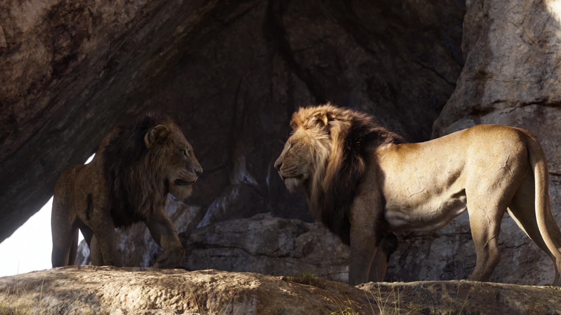 Mufasa 19 Film The Lion King Wiki Fandom