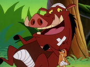 TFTZ Timon & Pumbaa60