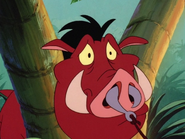 UBAE Pumbaa34