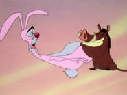 AD Pumbaa & Rabbit