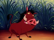 COLT Pumbaa