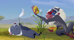 Rafiki declares that honey badgers are immune to snake bites.