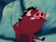 TKB Pumbaa3