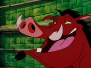 HEFY Pumbaa29