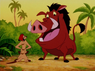 HEFY Timon & Pumbaa2