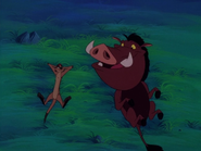 TSIC Timon & Pumbaa4