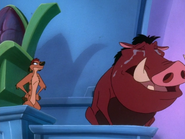 BMP Timon & Pumbaa45