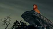 Lion-king-disneyscreencaps.com-8348