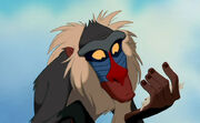 Rafiki-rafiki-2227567-667-478