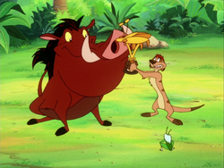 Timoncchio Timon Pumbaa & Rafiki8