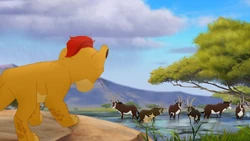 Kion observes Bupu's herd standing in their flooded grazing grounds.