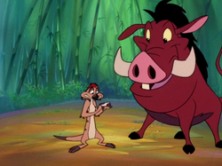 DBTC Timon & Pumbaa2