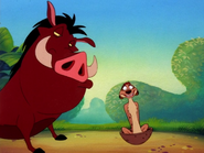 COLT Timon & Pumbaa12