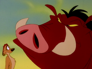 TTT Timon & Pumbaa27