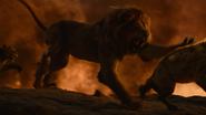 Lionking2019-animationscreencaps.com-11968