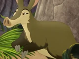 Muhanga