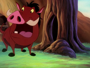 OB Pumbaa12