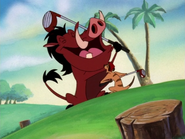 W Timon & Pumbaa8