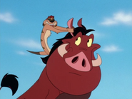 HTBTHCR Timon & Pumbaa38