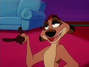 MIL Timon11