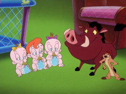 SPA Timon Pumbaa & triplets5