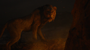 Lionking2019-animationscreencaps.com-12000