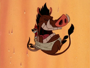 BOE Timon & Pumbaa6