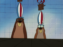 Bark beavers7