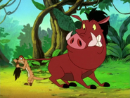 CJ Timon & Pumbaa7