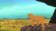 Lion-king2-disneyscreencaps.com-3313