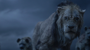 Lionking2019-animationscreencaps.com-11268