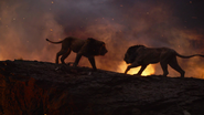 Lionking2019-animationscreencaps.com-11555