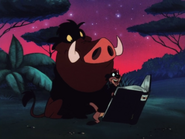 MAY Timon & Pumbaa19