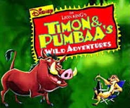 T&PWA promotional.png (73 KB)