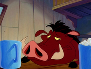 YC Pumbaa14