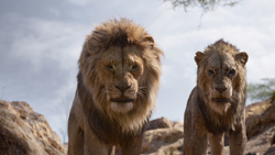 Lionking2019-animationscreencaps