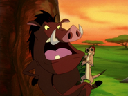 SD Timon & Pumbaa6