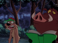 DCC Timon & Pumbaa11