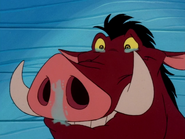 FF Pumbaa2