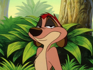 BGD Timon9