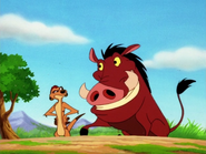 TFTZ Timon & Pumbaa33