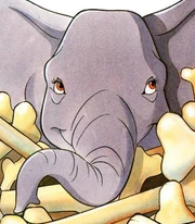 Belee visits the elephants' graveyard with her herd.