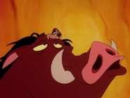 COLT Timon & Pumbaa43