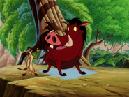 LBAM Timon & Pumbaa41