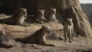 Lionking2019-animationscreencaps.com-7201