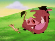 MMMF Timon & Pumbaa11