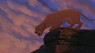 Lion-king2-disneyscreencaps.com-8576