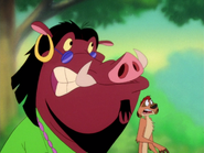 OTB Timon & Pumbaa27