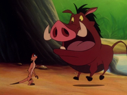 TTT Timon & Pumbaa14